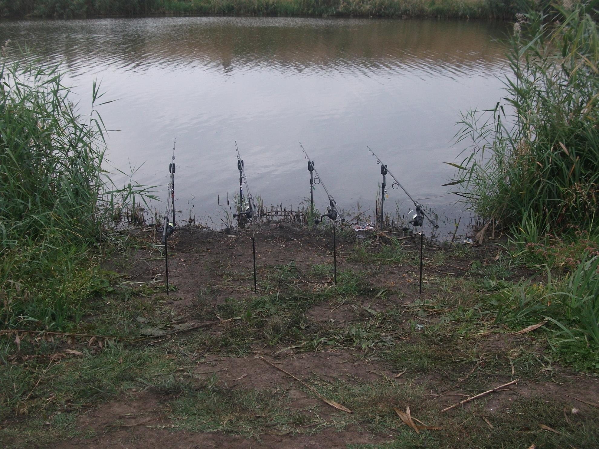 diverse - dscf1618.jpg